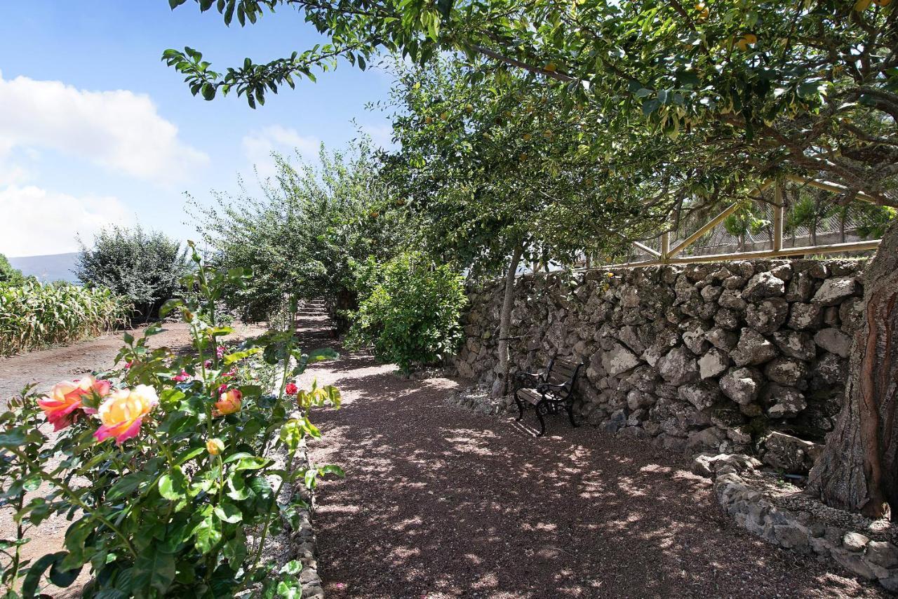 Finca Las Carmenes Icod De Los Vinos Exterior photo